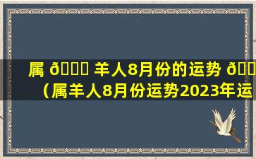 属 🐒 羊人8月份的运势 🕸 （属羊人8月份运势2023年运程如何）